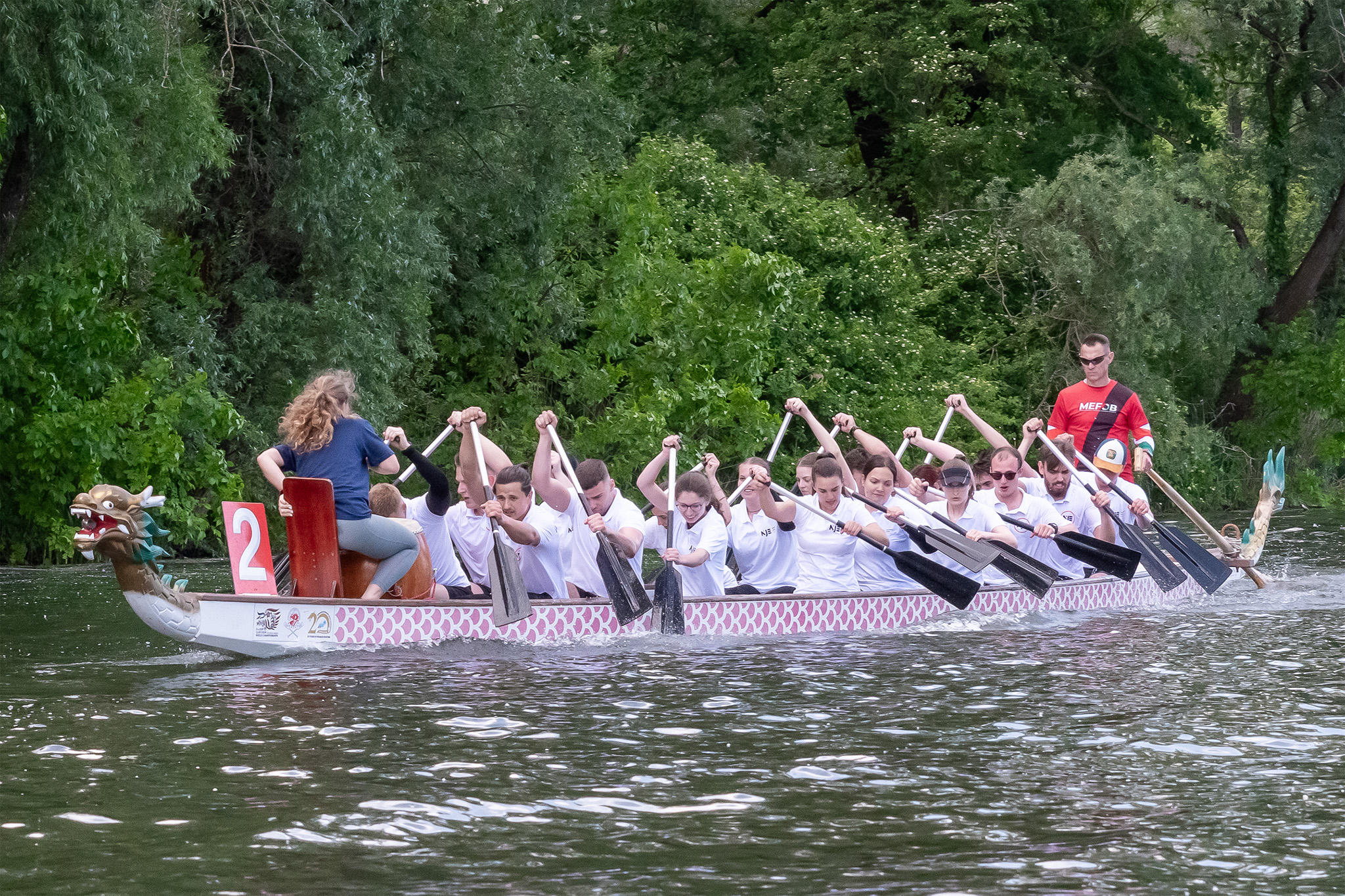 The MEFOB Festival in Győr was characterized by high quality, sport competitions.jpg