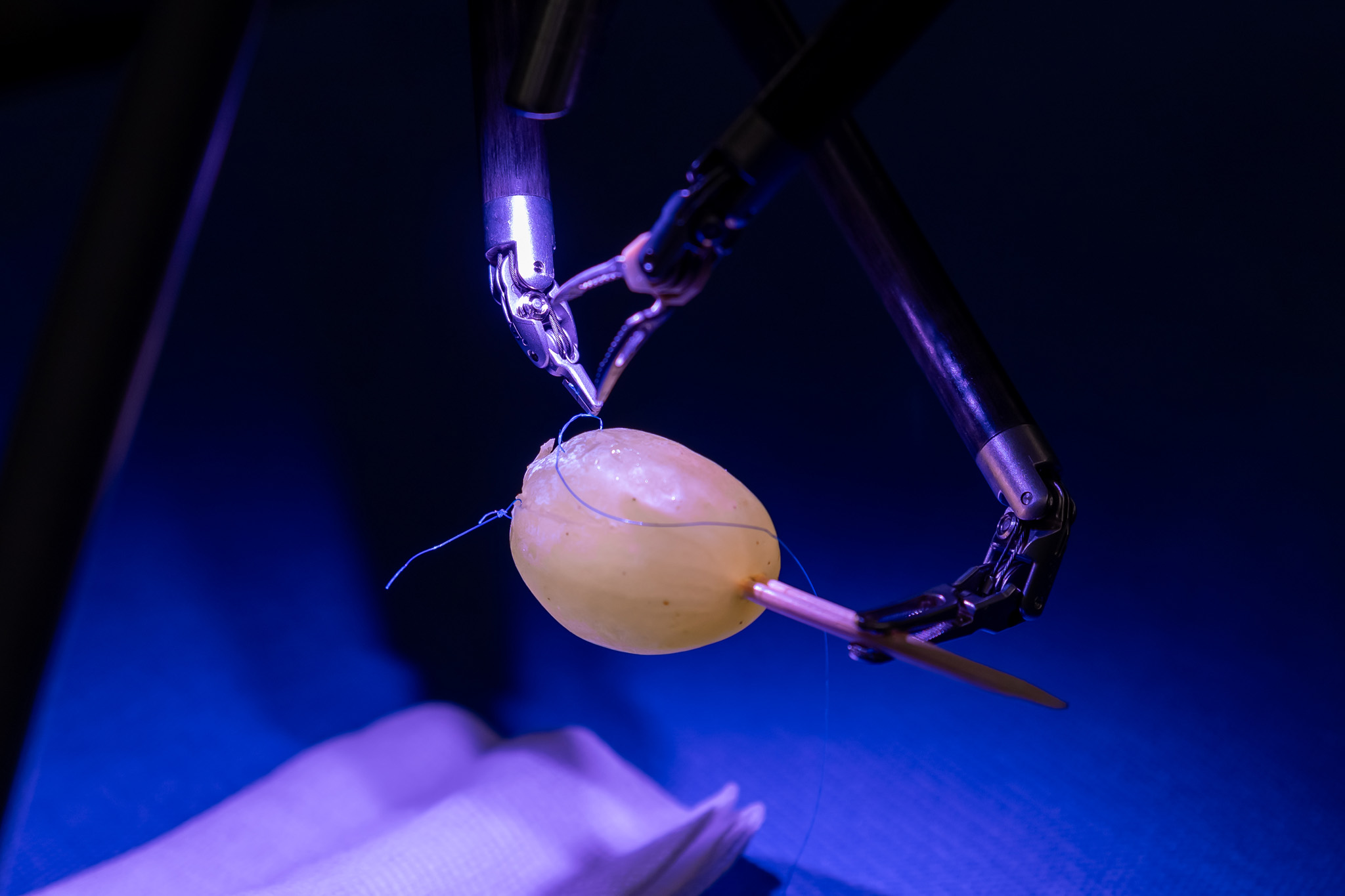 Dr. Zsolt Szepesváry demonstrated the possibilities offered by the surgical robot by peeling a grape and sewing its skin back on