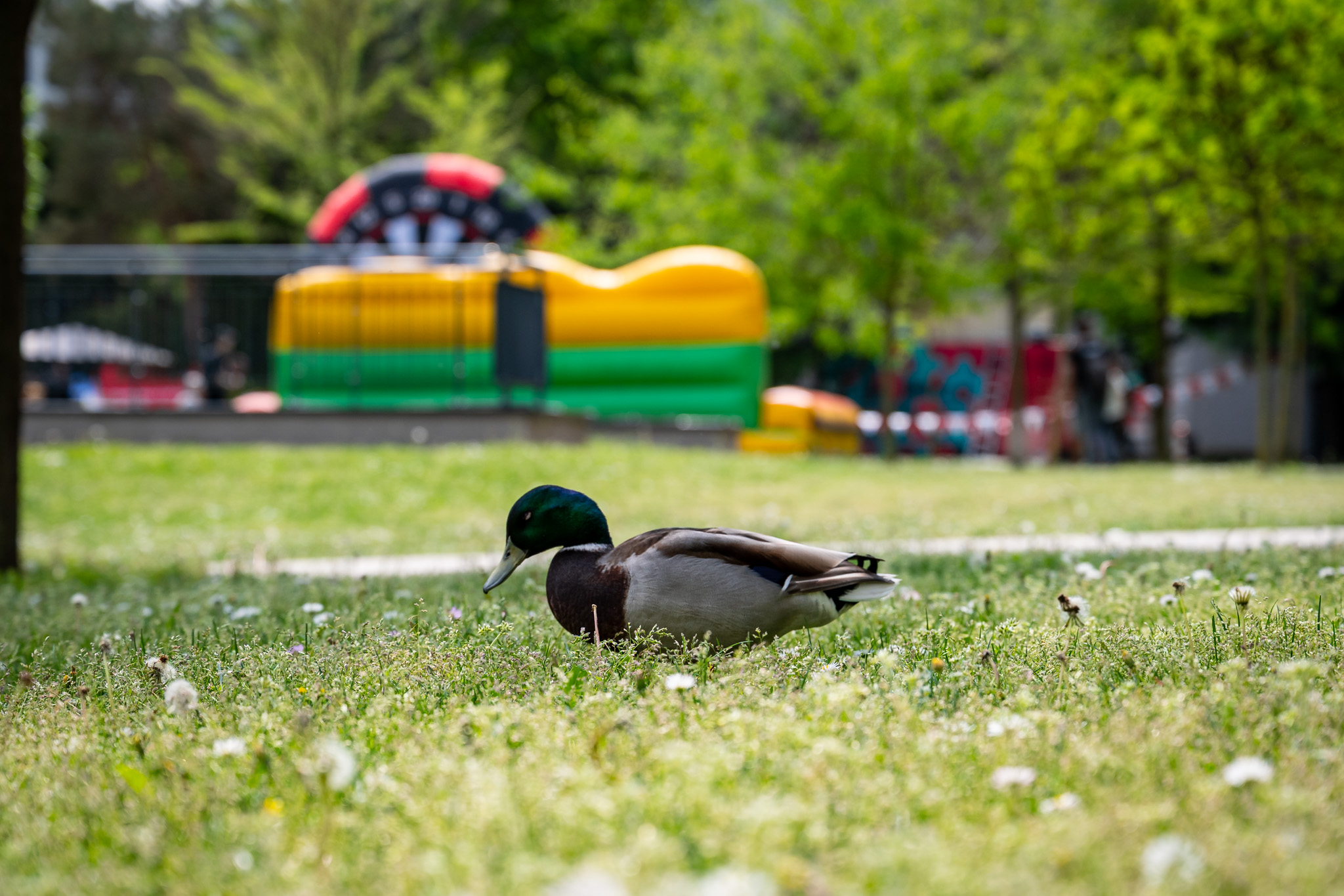 The Chill Park served as the Centre for Daytime Activities at SZEN (Photos: András Adorján, Máté Dudás, Bettina Korinek, Gergely Nagy)