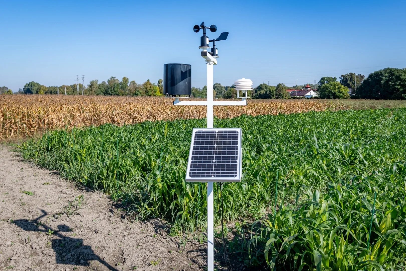 The Unisense meteorological station of Széchenyi István University (Photo: András Adorján)