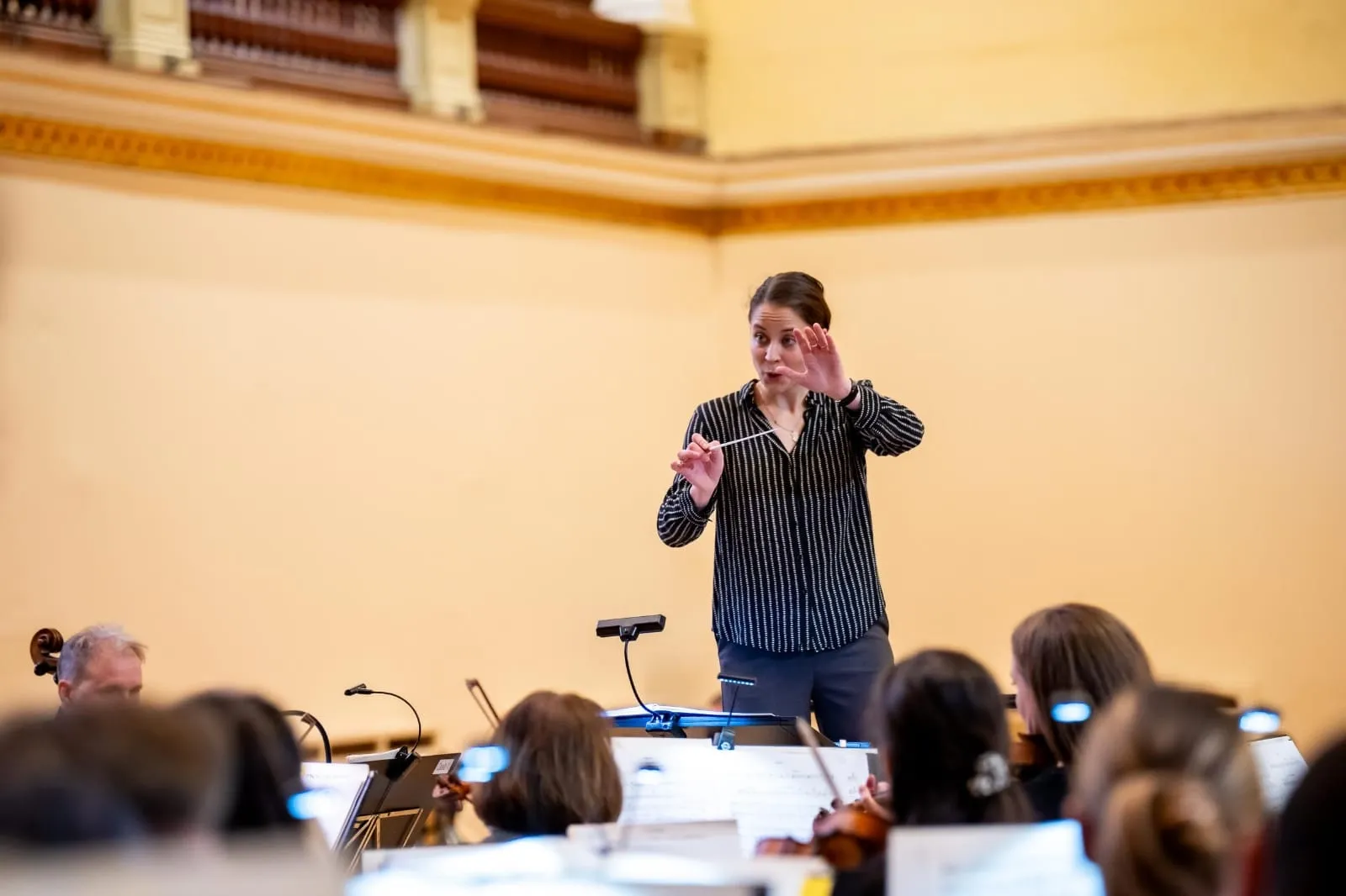 Bernadett Vida had to prepare from sixteen musical works and performed the assigned pieces with the MÁV Symphony Orchestra of Budapest